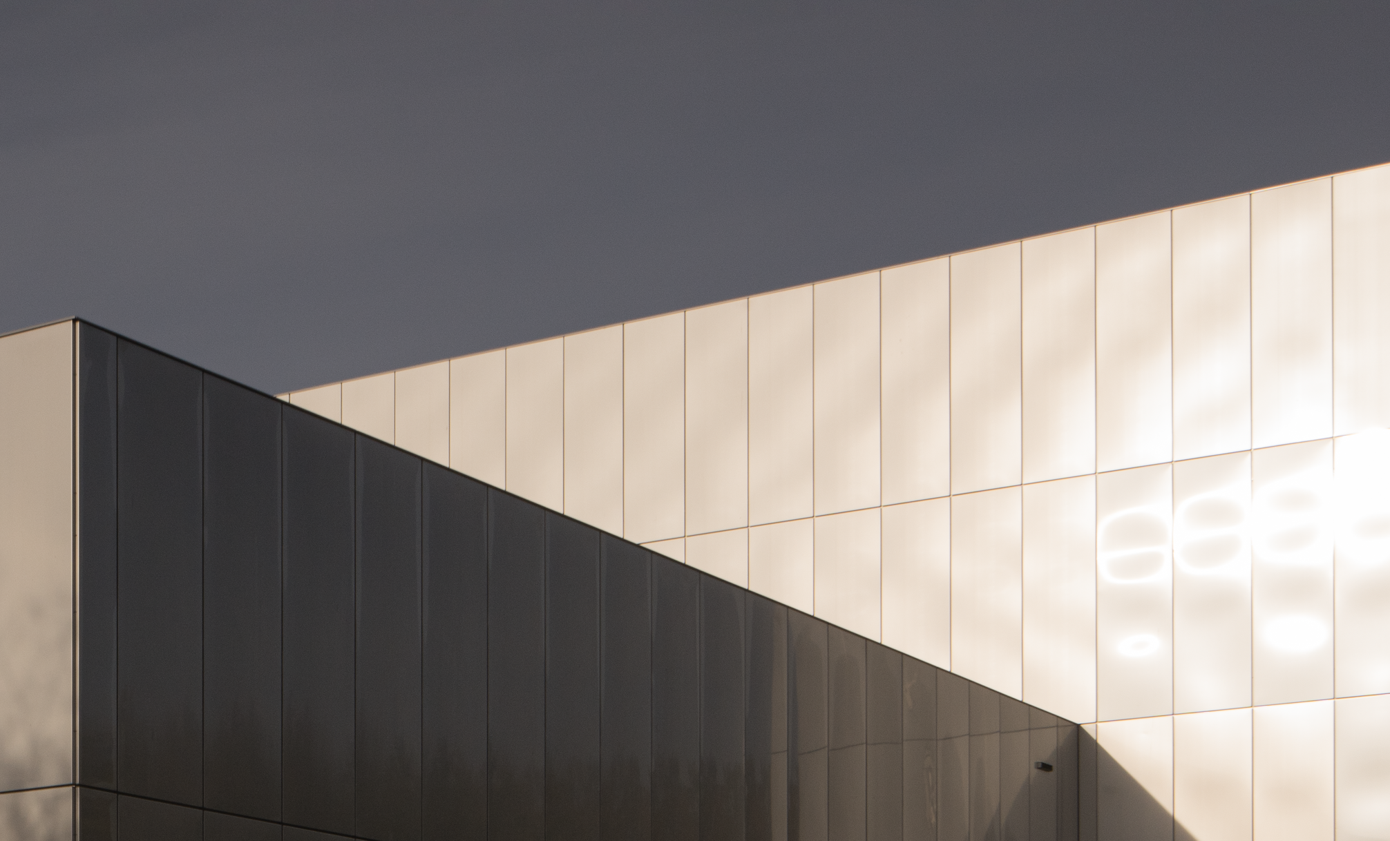 Teatro Malandro and Omar Porras　オマール・ポラス Teatro Malandro and Omar Porras オマール・ポラス Teatro Malandro